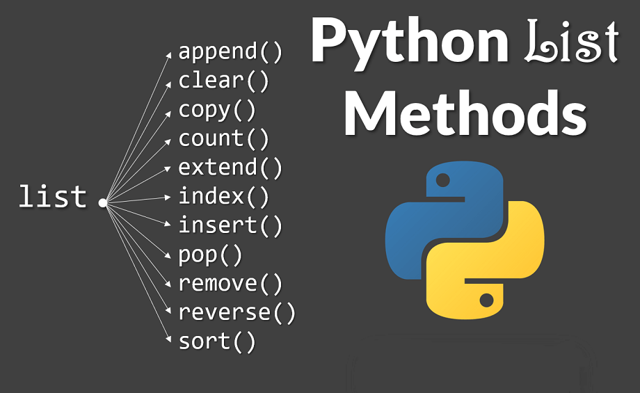 Python List Type